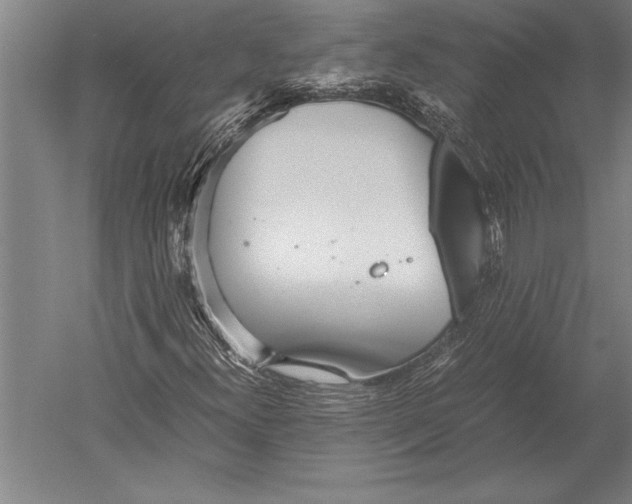 X0000051251300200507082139