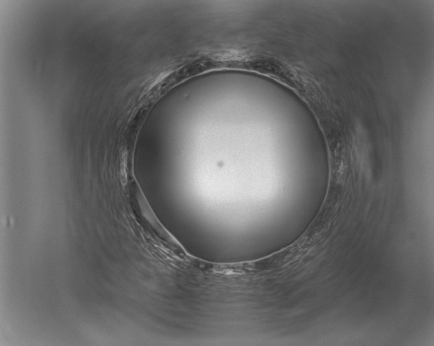 X0000051251301200507082140