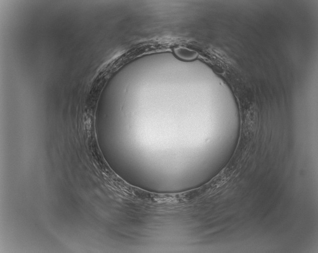 X0000051251302200507082140