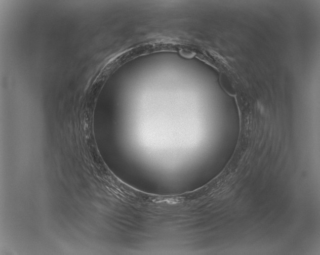 X0000051251303200507082140