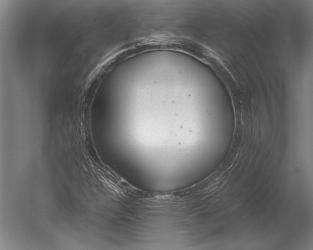 X0000051251304200507082140