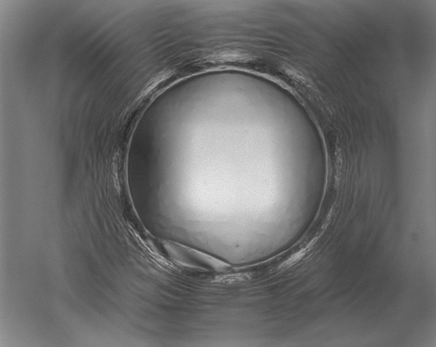 X0000051251305200507082140