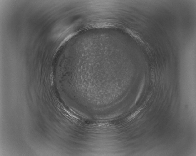 X0000051251306200507082140