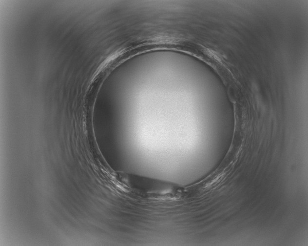 X0000051251307200507082140