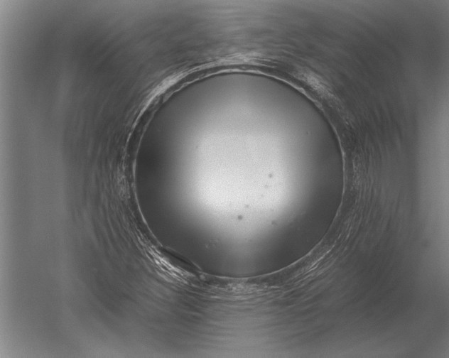 X0000051251308200507082140