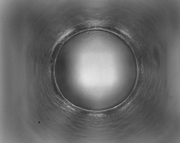 X0000051251309200507082140