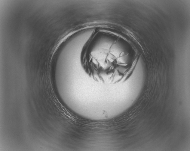 X0000051251312200507082140