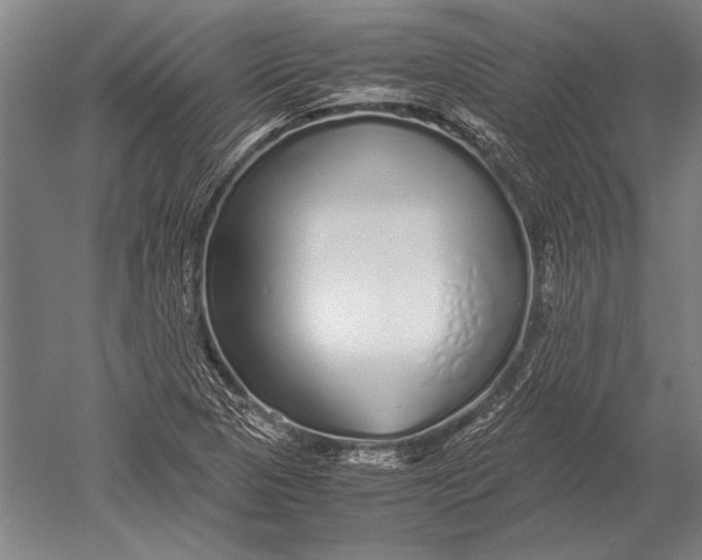 X0000051251313200507082140