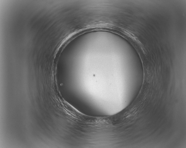 X0000051251316200507082140