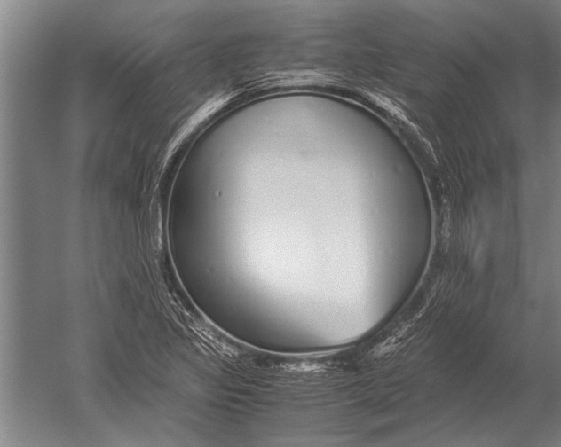 X0000051251317200507082140