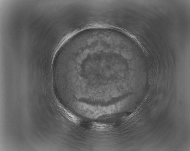 X0000051251319200507082140