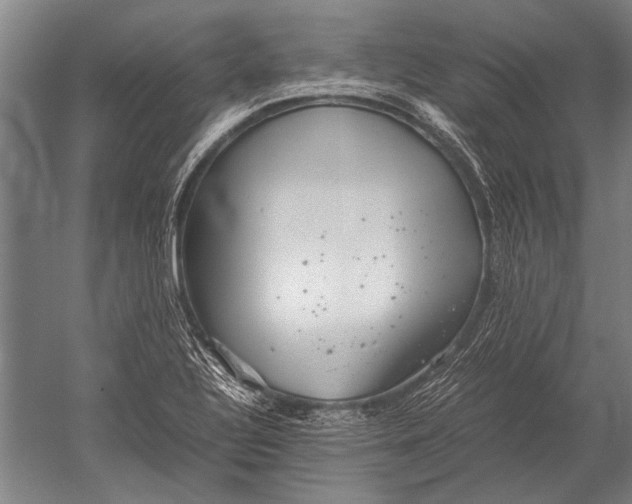 X0000051251320200507082140