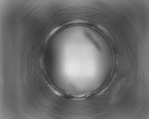 X0000051251321200507082140