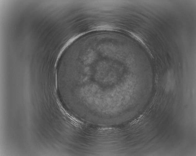 X0000051251323200507082140