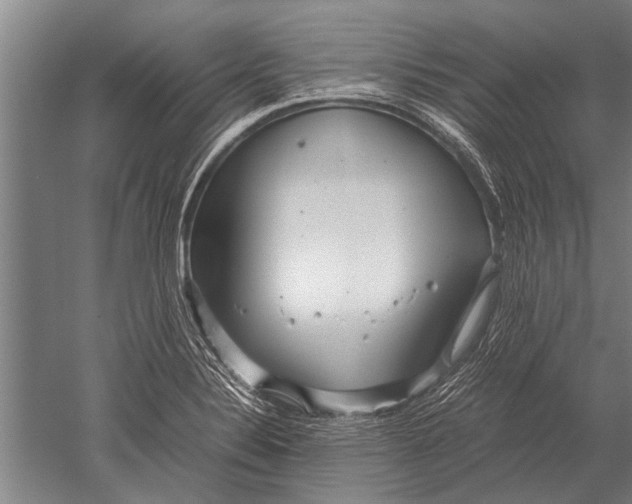 X0000051251324200507082140