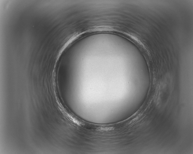 X0000051251325200507082140