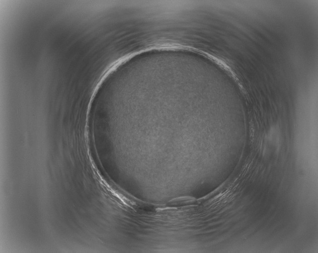 X0000051251327200507082140