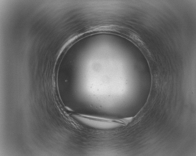 X0000051251328200507082140