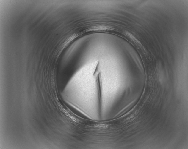 X0000051251329200507082140