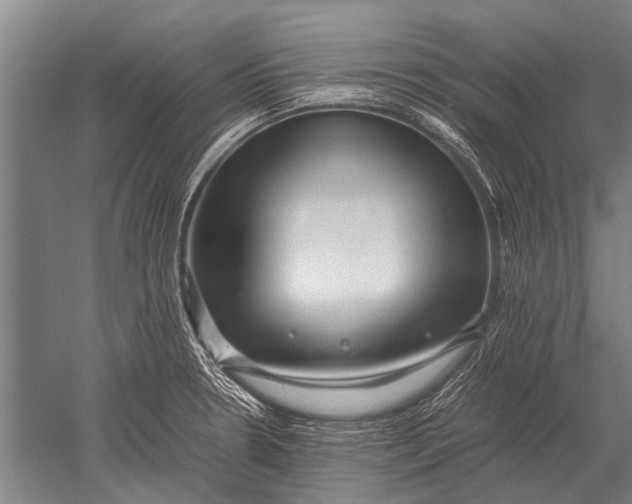 X0000051251330200507082140