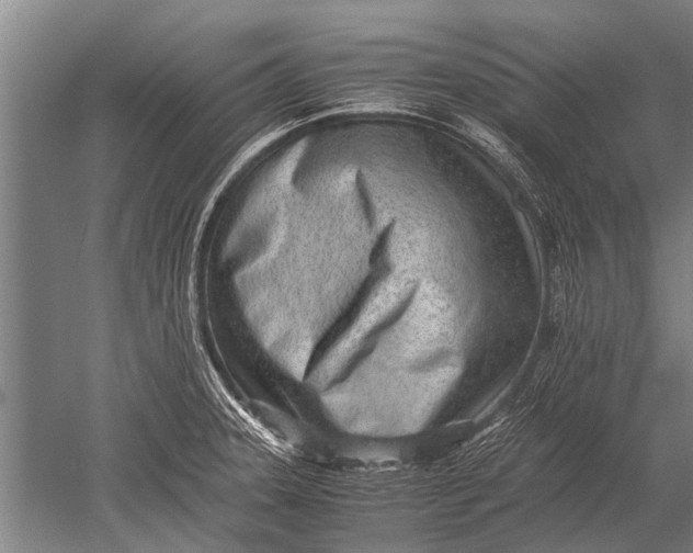 X0000051251331200507082140