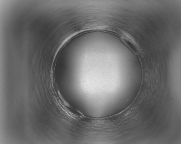 X0000051251332200507082140