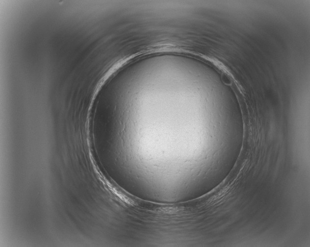 X0000051251333200507082140