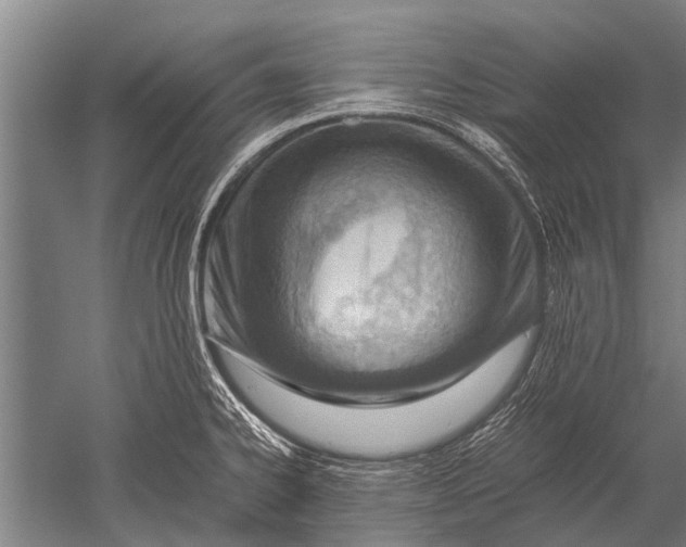 X0000051251334200507082140