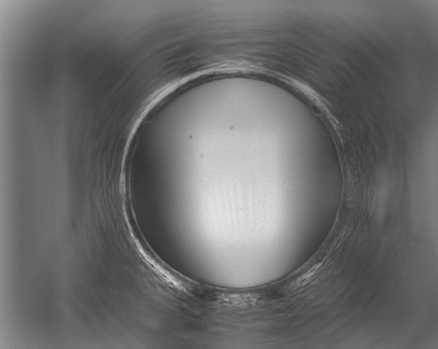 X0000051251335200507082140