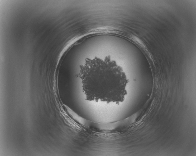 X0000051251336200507082140