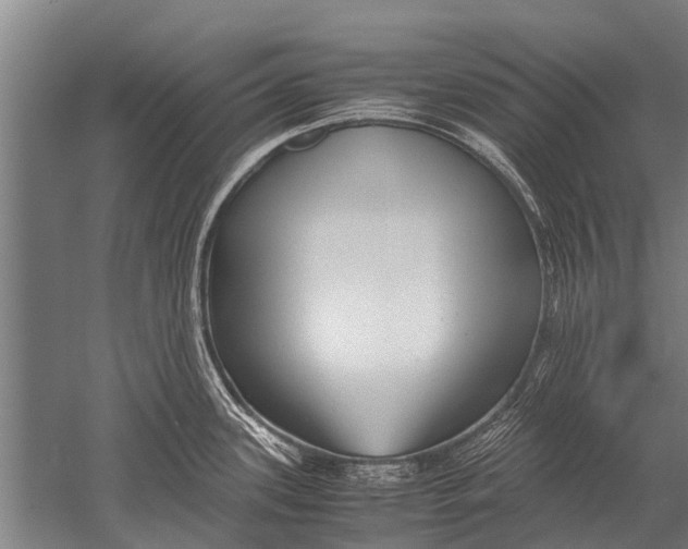 X0000051251339200507082140