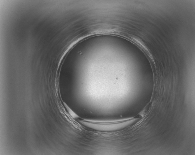 X0000051251340200507082140