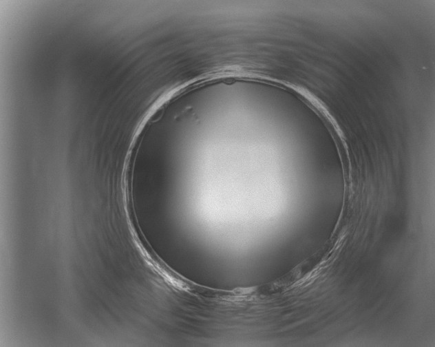 X0000051251341200507082140