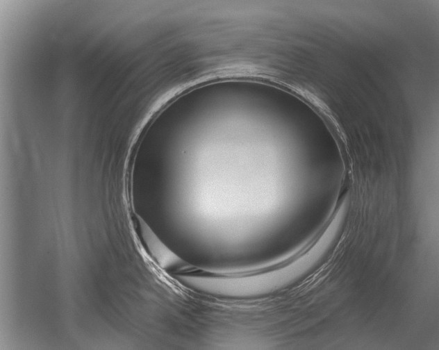 X0000051251342200507082140