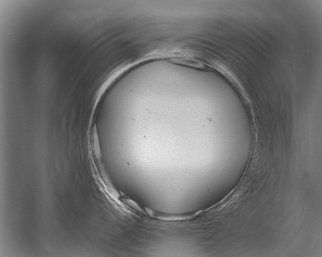 X0000051251344200507082140