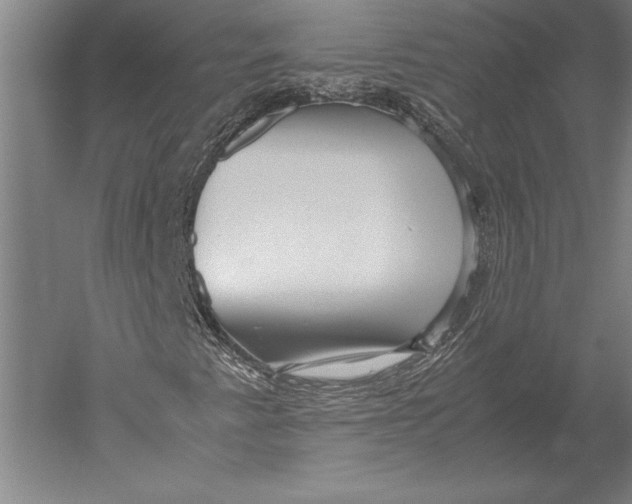 X0000051251345200507082139