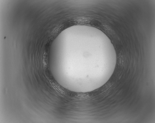 X0000051251346200507082139