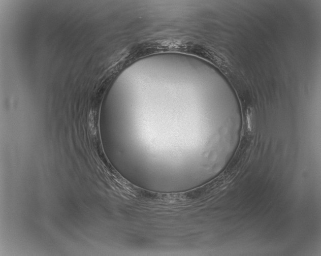 X0000051251347200507082139