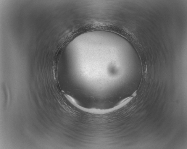 X0000051251348200507082139