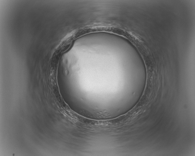 X0000051251351200507082139