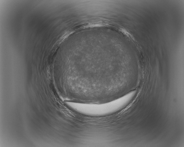 X0000051251353200507082139