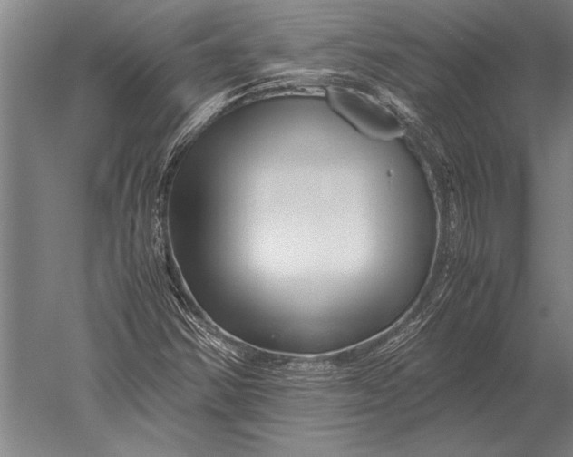 X0000051251354200507082139