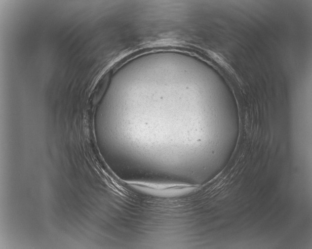 X0000051251356200507082139