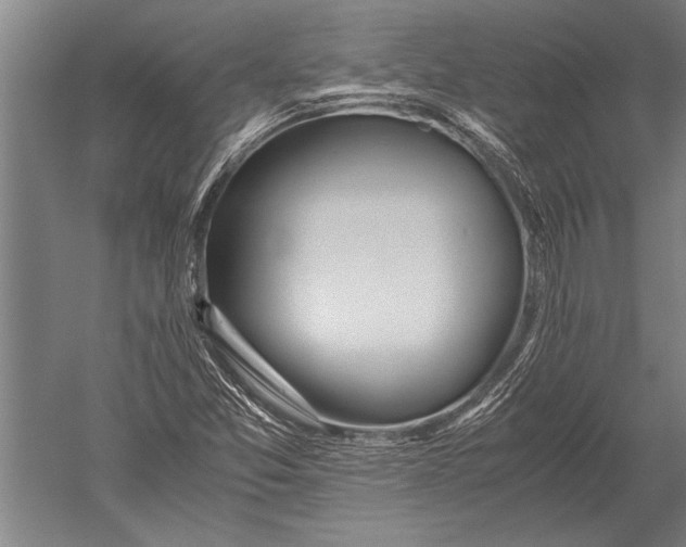 X0000051251357200507082139