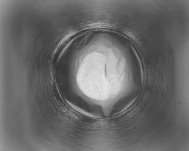 X0000051251358200507082139