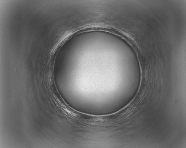 X0000051251359200507082139