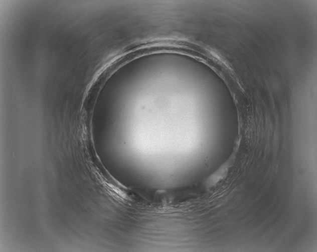 X0000051251360200507082139