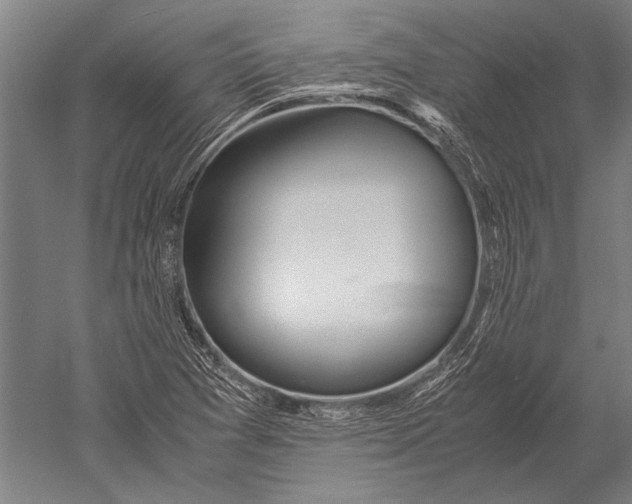 X0000051251361200507082139