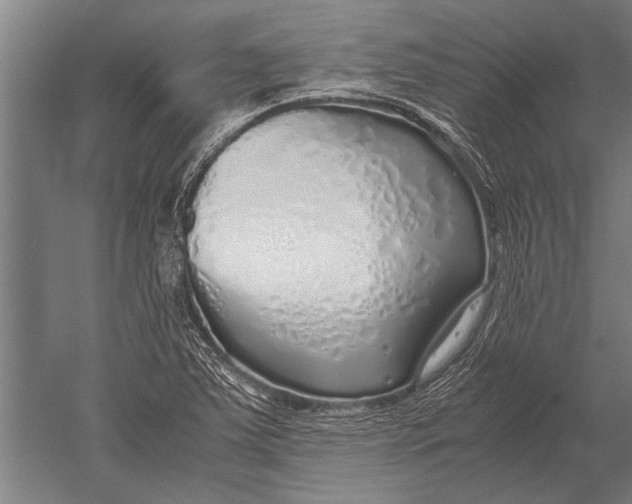 X0000051251363200507082139