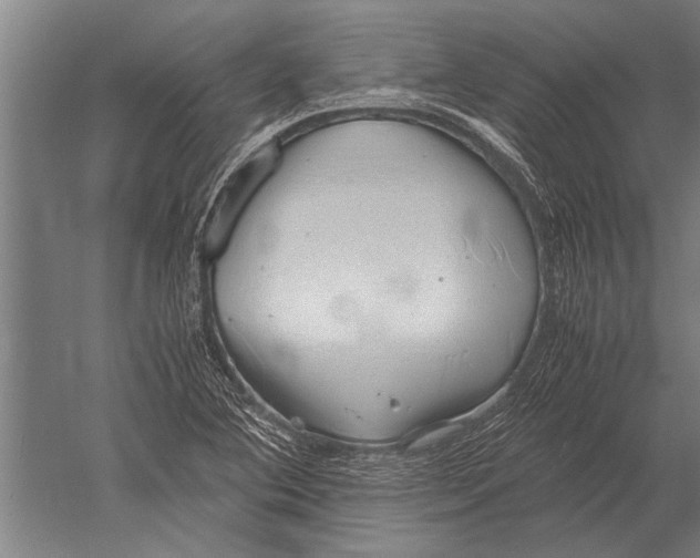 X0000051251364200507082139